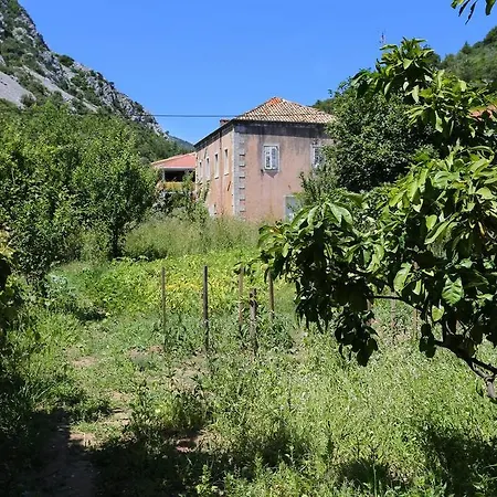 Studio Trstenik 4567b 아파트